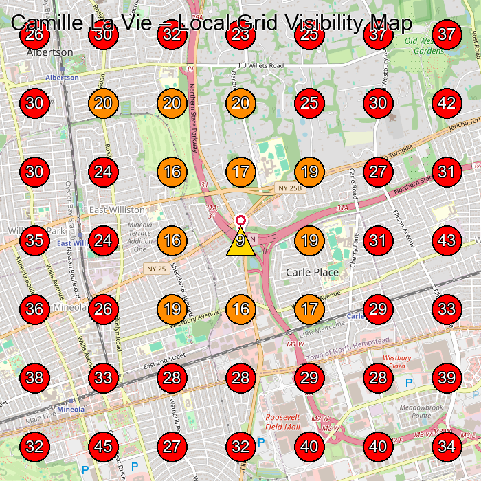 Camille La Vie GeoGrid visibility map for Piano Store in Carle Place